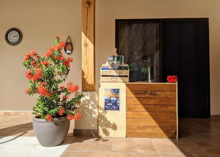 Casa Libelula