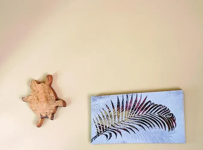 Bed & Breakfast Casa Libelula